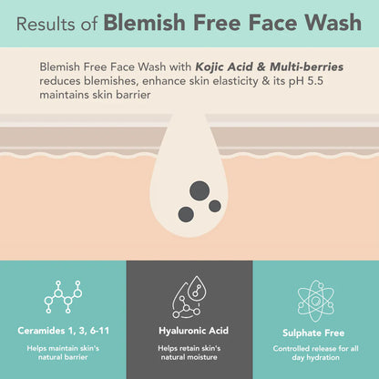 Lotus DermaBotanics Kojic acid + Multi berry Blemish - Free Facewash