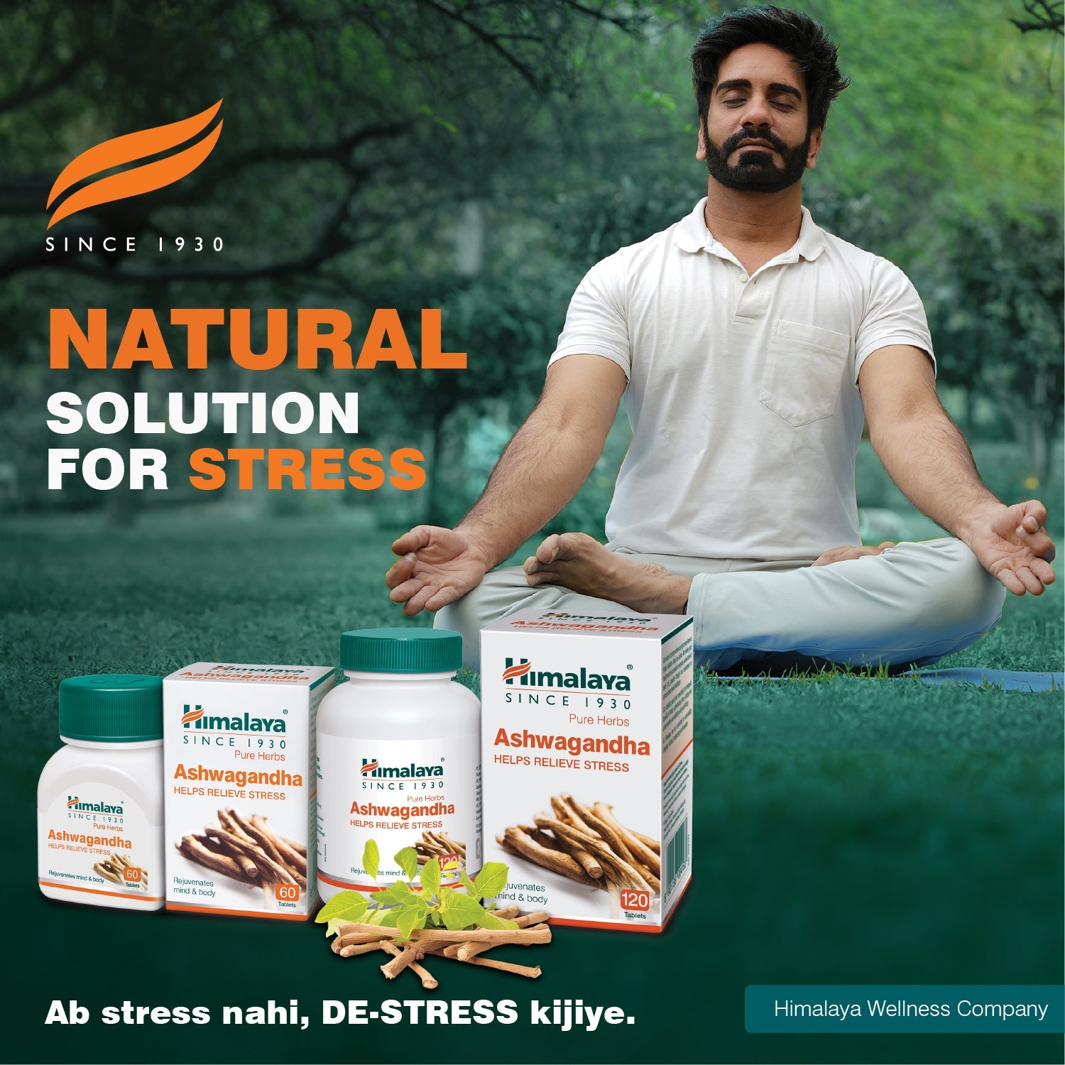 Himalaya Ashvagandha Tablets - General Wellness