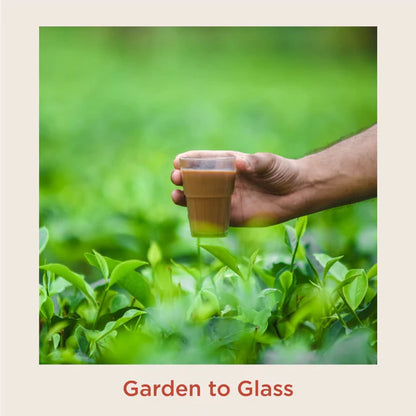 Chai Point Signature Assam Masala Tea - 200 gm