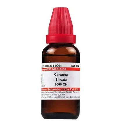 Dr. Willmar Schwabe India Calcarea Silicata Dilution -6 CH