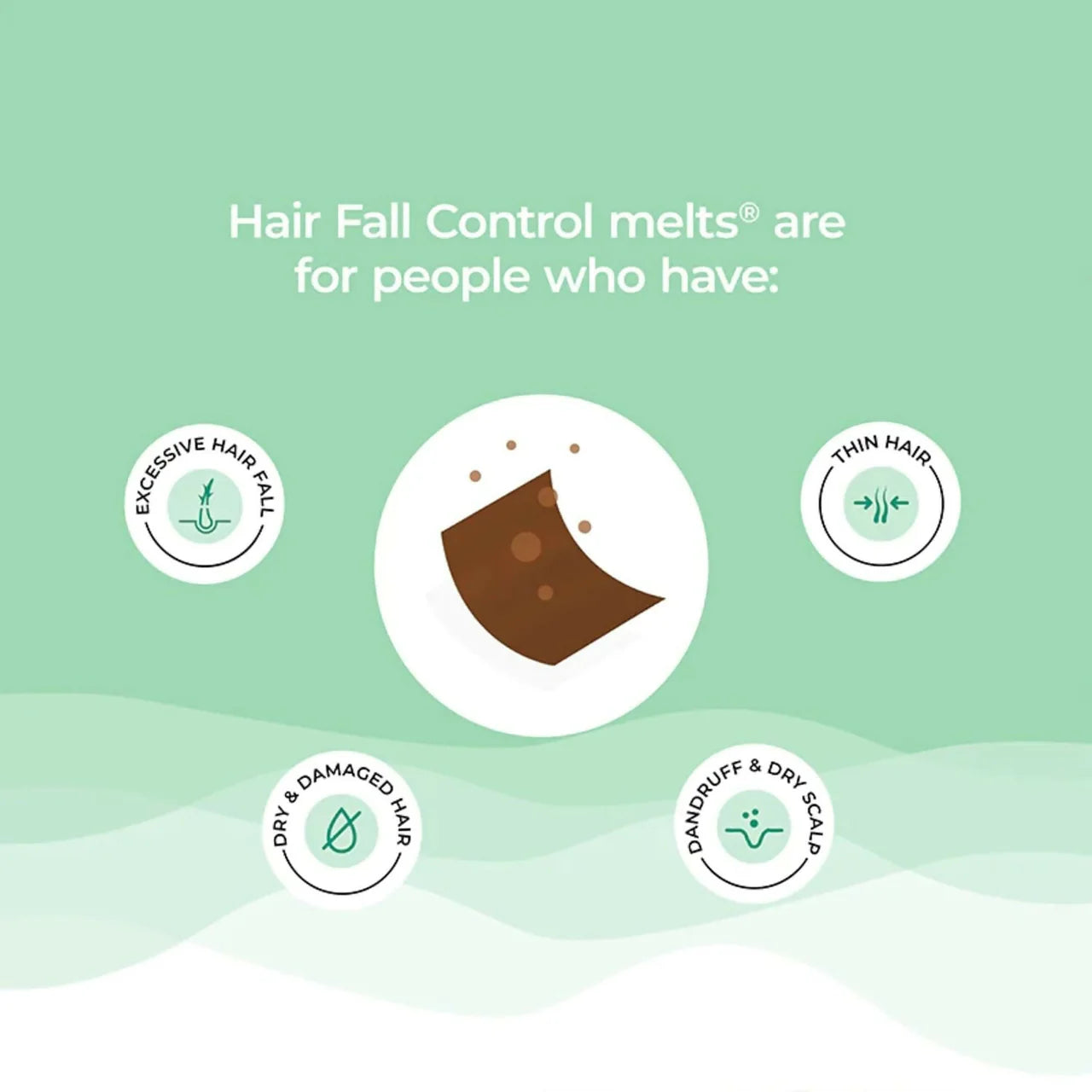 Wellbeing Nutrition Melts Healthy Hair & Hair Fall Control Strips Combo