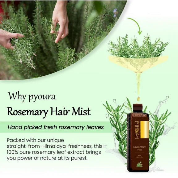 Pyoura Rosemary Water Spray For Hair Fall Control Natural Non-Greasy Heat Protection Serum Mist Toner - 50 ml