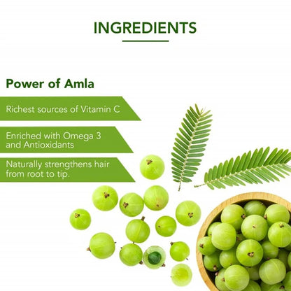 Dabur Amla Hair Oil - 275 ml