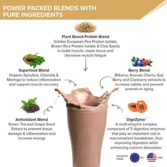 Wellbeing Nutrition Superfood Plant Protein Isolate - Italian Cafe Mocha - 500 gm