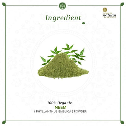 Khadi Natural Organic Neem Leaf Powder - 100 gm