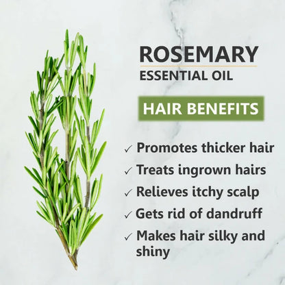 Skiura Nature Rosemary Essential Oil For Hair Growth - 15 ml