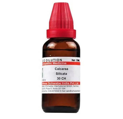 Dr. Willmar Schwabe India Calcarea Silicata Dilution -6 CH