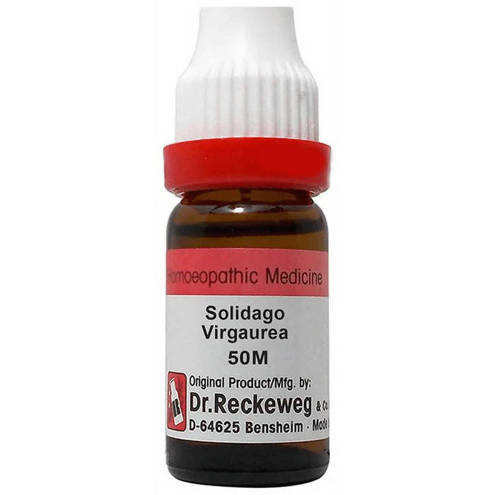 Dr. Reckeweg Solidago Virgaurea Dilution - 30 CH