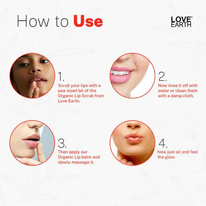 Love Earth Lip Saviour Kit for Skin Hydration & Moisturization, Chapped Lips With Bees Wax And Cocoa Butter - Combo Pack