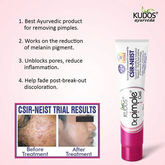 Kudos Ayurveda Dr. Pimple Gel - 25 gm