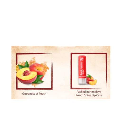 Himalaya Herbals Peach Shine Lip Care - 4.5 gm