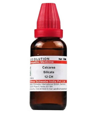 Dr. Willmar Schwabe India Calcarea Silicata Dilution -6 CH