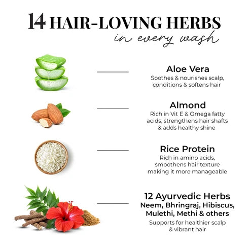 Smooth & Shine Shampoo for Dry and Frizzy Hair| Aloe Vera, Almond, Rice Protein & 12 Herbs