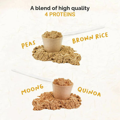 Onelife Plant Protein Mocha - 500 gm