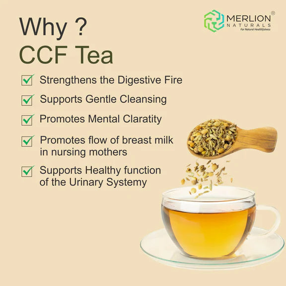 Merlion Naturals CCF Tea (Cumin, Coriander and Fennel Tea Bag) - 30 Tea bags
