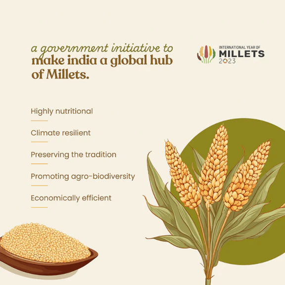 Bharat Vedica Organic Pearl Millet - Organic Bajra