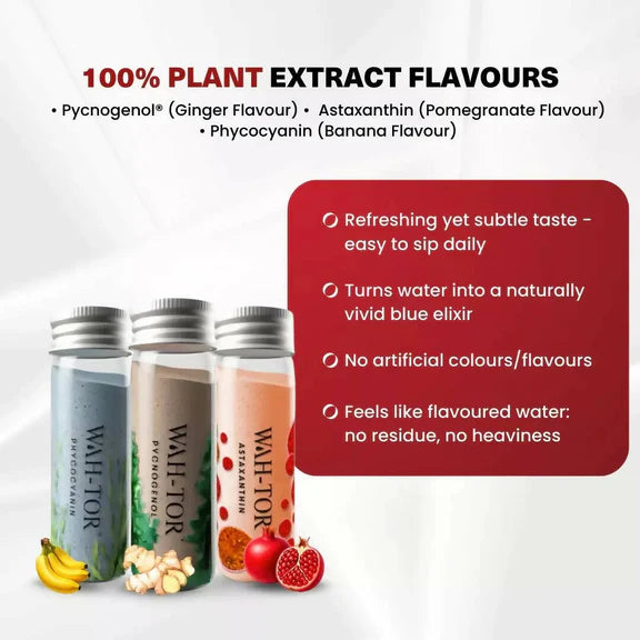 Chosen Wah-Tor Plant Powered Collagen Builder - combo