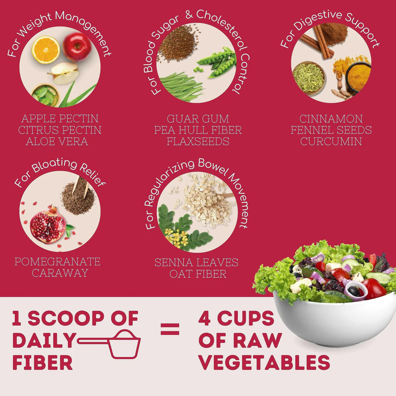 Wellbeing Nutrition Daily Fiber Powder - Vanilla Berry & Pina Colada Combo