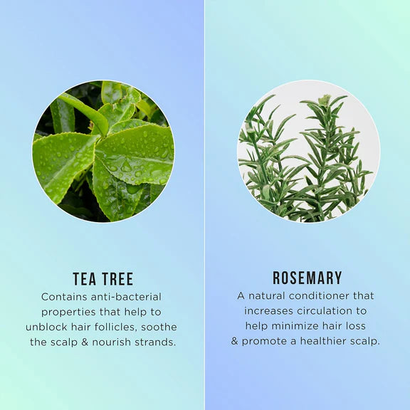 HASK Tea Tree Oil & Rosemary 5-In-1 Leave In Spray - 175 ml