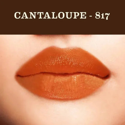 Soultree Ayurvedic Lipstick Cantaloupe 817 - 4 gm