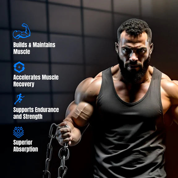 Big Muscles Nutrition Prime Protein - 1 kg - Rich Chocolate