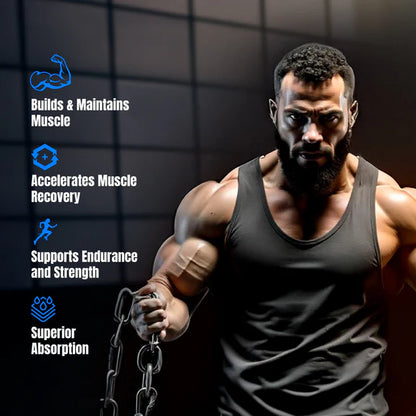 Big Muscles Nutrition Prime Protein - 1 kg - Rich Chocolate