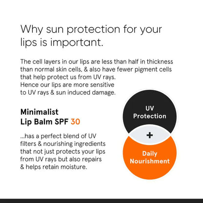 Minimalist SPF 30 Lip Balm For Protection & Nourishment - 8 gm