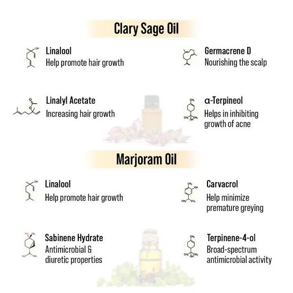 Keya Seth Aromatherapy Alopex Long N Strong Hair Oil - 100 ml