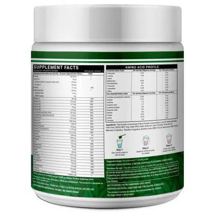 Inlife Vegan Protein Meal Mixed Berry Flavour - 500 gm