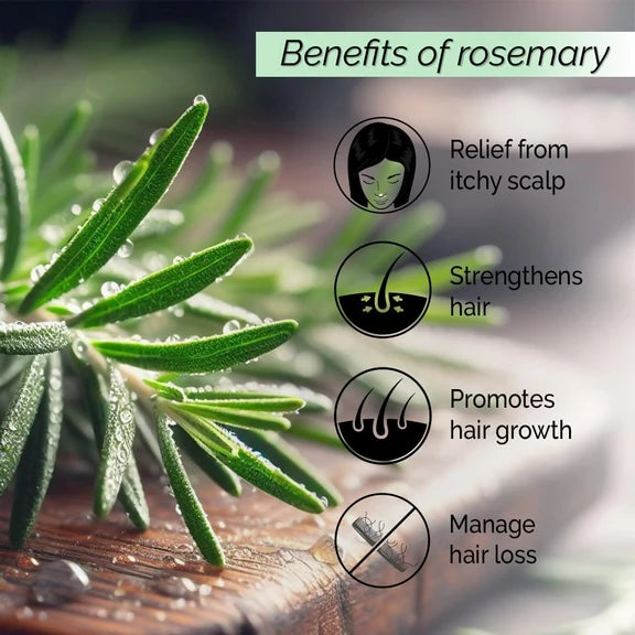 Pyoura Rosemary Water Spray For Hair Fall Control Natural Non-Greasy Heat Protection Serum Mist Toner - 50 ml