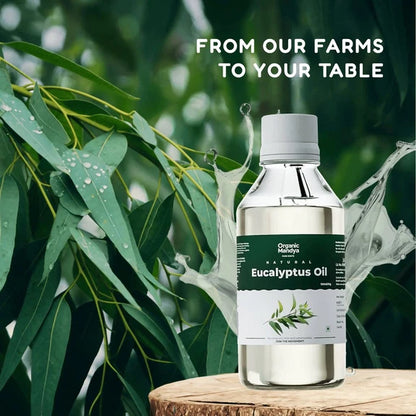 Organic Mandya Eucalyptus Oil - 100 ml