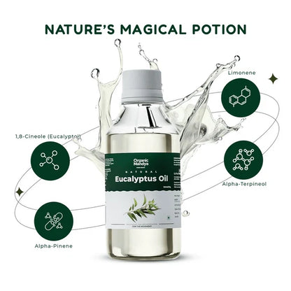 Organic Mandya Eucalyptus Oil - 100 ml