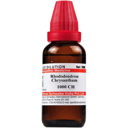 Dr. Willmar Schwabe India Rhododendron Chrysanthum Dilution -6 CH