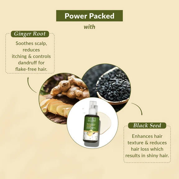 Lotus Botanicals Ginger Root & Black Seed Dandruff Control Hair Oil - 100 ml