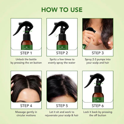 Botanic Hearth Rosemary Rice Water Spray for Hair Growth - 200 ml