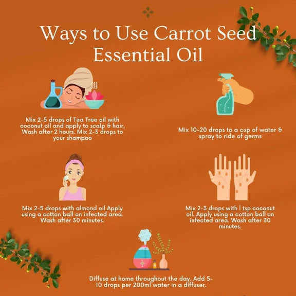 Organicos Carrot Seed Essential Oil - 15 ml