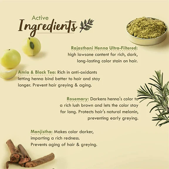 Nat Habit Henna Paste - 220 gm - Pack of 2