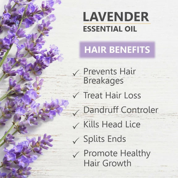 Skiura Nature 100% Natural Lavender Essential Oil For Hair, Skin & Aroma - 15 ml