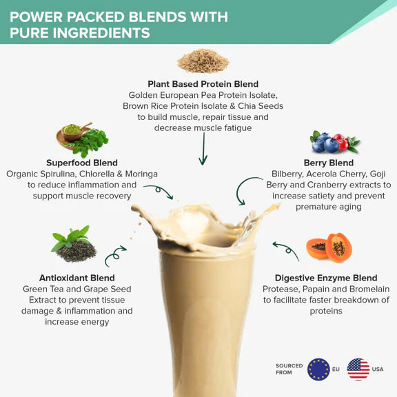 Wellbeing Nutrition Superfood Plant Protein-French Vanilla Caramel - 500 gm
