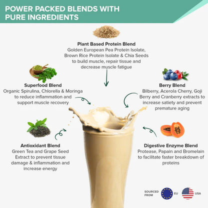Wellbeing Nutrition Superfood Plant Protein-French Vanilla Caramel - 500 gm