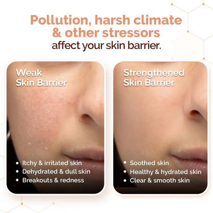 Mamaearth Chia Oil-Free Moisturizer with Chia Seed & Ceramides for Healthy Skin Barrier - 80 gm