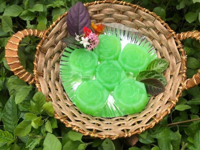 Duh Exotica – Anti Fungal / Anti Bacterial Soap