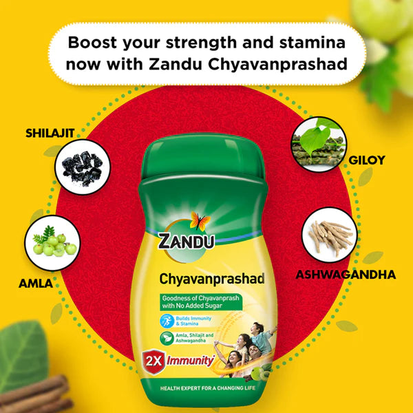 Zandu (Sugar Free) Chyavanprashad