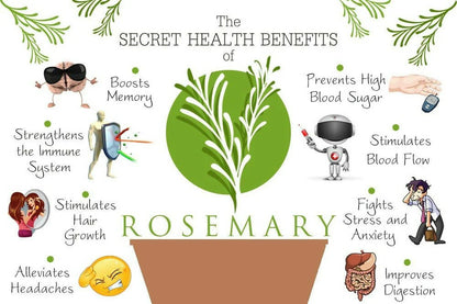 WishCare Rosemary Essential Oil - 15 ml
