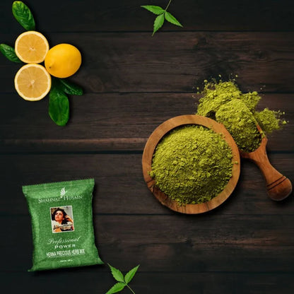 Shahnaz Husain Professional Power Henna Precious Herb Mix - 100 gm