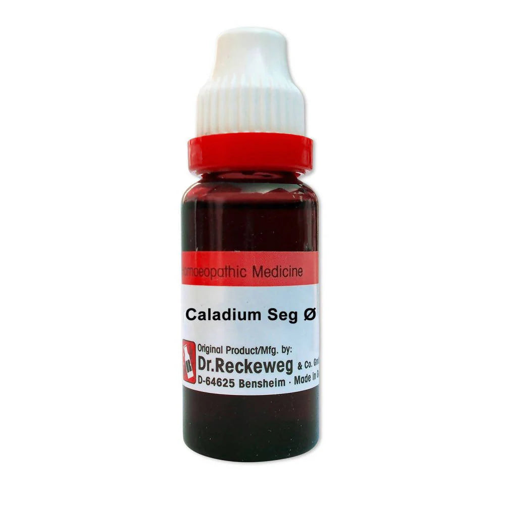 Dr. Reckeweg Caladium Seg Mother Tincture Q