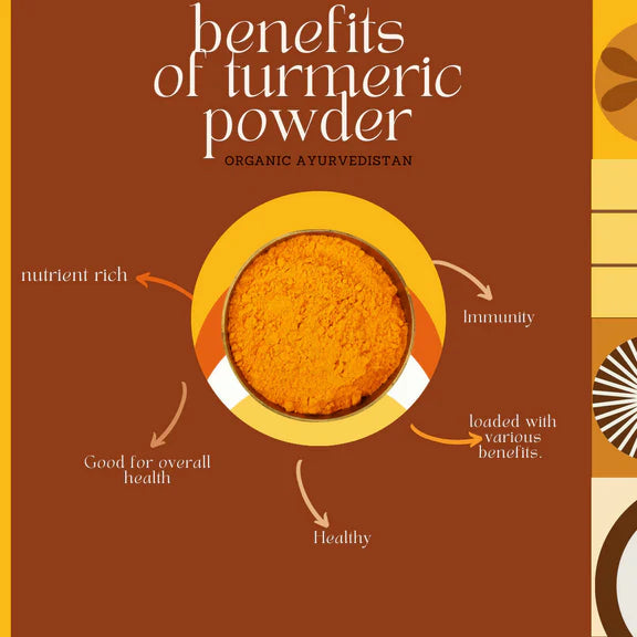 Organic Ayurvedistan Turmeric Powder - 400 gm