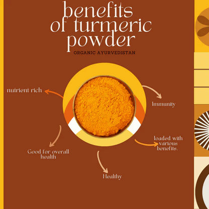 Organic Ayurvedistan Turmeric Powder - 400 gm