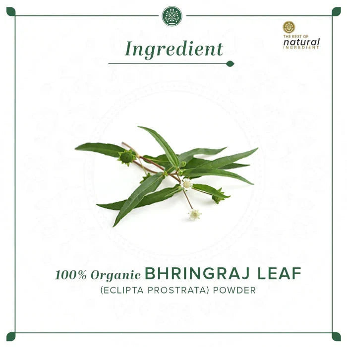 Khadi Natural Bhringraj Leaf Powder - 100 gm