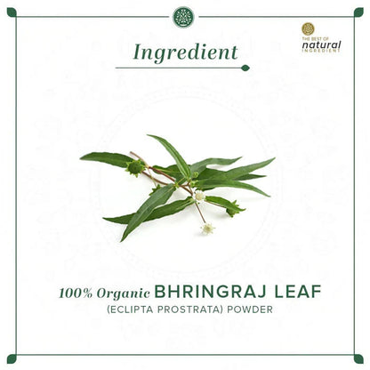 Khadi Natural Bhringraj Leaf Powder - 100 gm